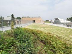 法政大学高校庭院