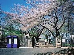 法政大学高校校园风光