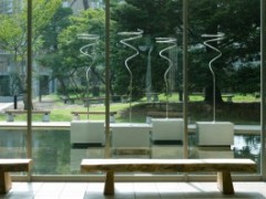 法政大学高校校园风光