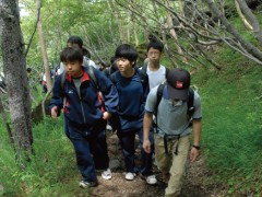 日本大学藤泽高中相册 