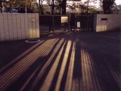东京都立西高等学校冬季2