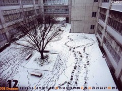 东京都立西高等学校冬季1