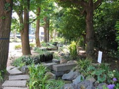 东京都立户山高等学校风光2