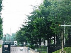 东京都立户山高等学校风光1