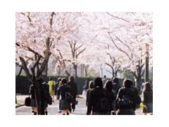 横滨翠陵高中学校相册