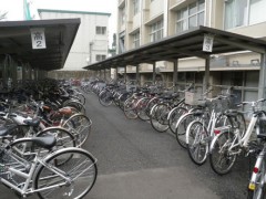 东京农业大学第一高校停车场