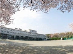 东京都立八王子东高等学校操场