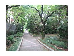 东京都立驹场高中小路