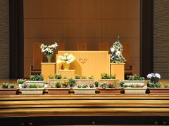 横须贺高中相册 