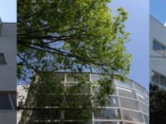 东京成德大学深谷高校 校舍