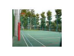 东京都立武藏高等学校多用球场