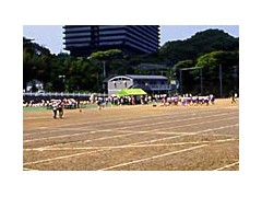 绿丘女子高中相册 