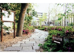 東海大学付属相模高等学校相册 