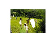 東海大学付属相模高等学校相册 