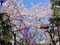 东京都立成东高等学校风景
