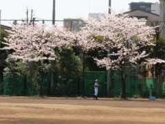 东京都立成东高等学校风景