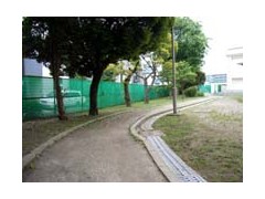 东京都立江户川高等学校小路