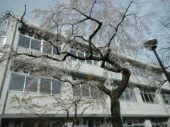 东京都立调布南高等学校校园
