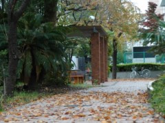 东京都立调布南高等学校校园
