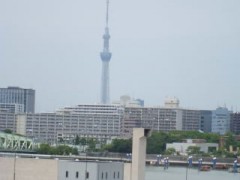 东京都立晴海综合高等学校外观