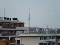 东京都立晴海综合高等学校外观