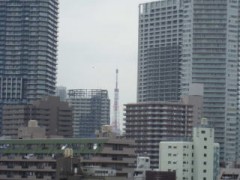 东京都立晴海综合高等学校外观