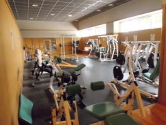东京都立晴海综合高等学校体育设施