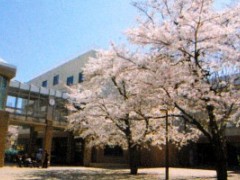東京都立雪谷高等学校风景