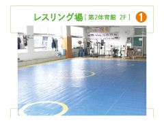 西武台千叶高校 摔跤场