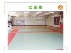 西武台千叶高校 柔道场