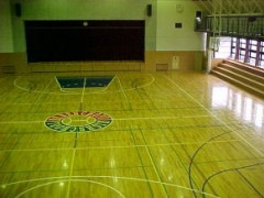  东京都立田园调布高等学校体育馆