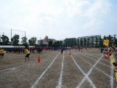 东京都立武藏丘高等学校体育祭