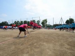 东京都立武藏丘高等学校体育祭