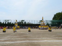 东京都立武藏丘高等学校体育祭