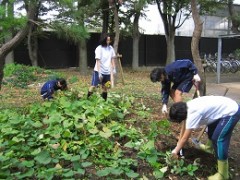 东京都立芦花高等学校农业部