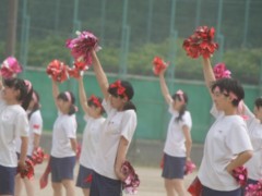 东京都立翔阳高等学校体育祭