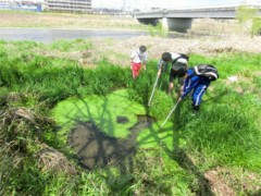 东京都立日野高等学校生物部