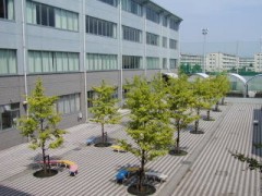 东京都立东高等学校中庭