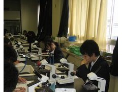 东京都立樱町高等学校生物实验
