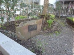 东京都立樱町高等学校中庭