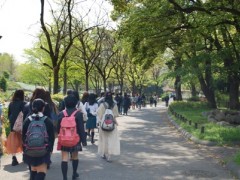 东京都立新宿山吹高等学校远足