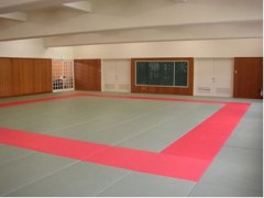东京都立杉并综合高等学校柔道场