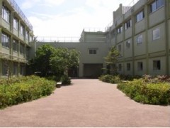 东京都立杉并综合高等学校中庭