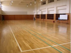 东京都立杉并综合高等学校体育馆