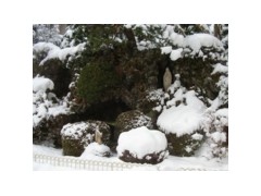 函领白百合高中留学相册 