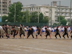 东京都立飞鸟高等学校体育祭