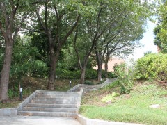 三田国際学園高校设施 