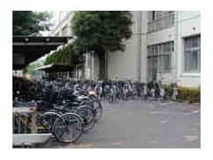 東京都立紅葉川高等学校设施 