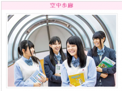 安部学院高中留学相册 