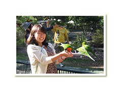 日本女子体育大学附属二阶堂高中课外活动